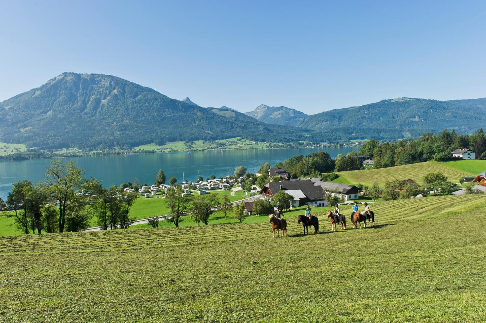 Reiterhof Suassbauer Villa Saint Wolfgang Екстериор снимка