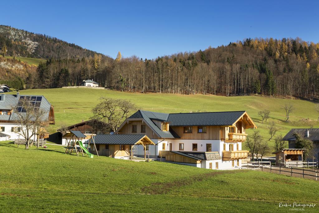 Reiterhof Suassbauer Villa Saint Wolfgang Екстериор снимка