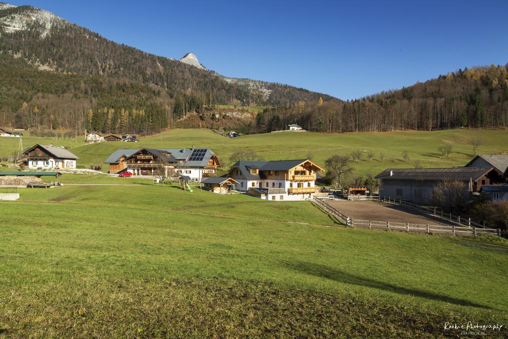 Reiterhof Suassbauer Villa Saint Wolfgang Екстериор снимка